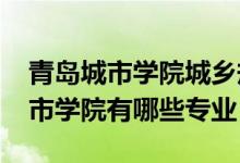 青島城市學(xué)院城鄉(xiāng)規(guī)劃專業(yè)（2022年青島城市學(xué)院有哪些專業(yè)）
