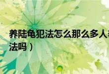 養(yǎng)陸龜犯法怎么那么多人養(yǎng)（養(yǎng)陸龜犯法嗎養(yǎng)蘇卡達(dá)陸龜犯法嗎）
