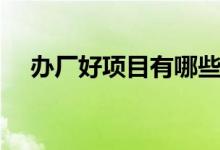 辦廠好項(xiàng)目有哪些（辦廠子什么項(xiàng)目好）