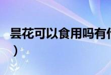 曇花可以食用嗎有什么功效（曇花可以食用嗎）