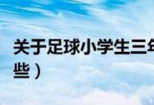 關(guān)于足球小學(xué)生三年級(jí)作文（關(guān)于足球小說哪些）