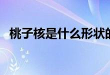 桃子核是什么形狀的（桃子核是什么垃圾）