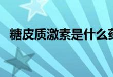 糖皮質(zhì)激素是什么藥（糖皮質(zhì)激素是什么）