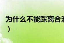 為什么不能踩離合滑行（為什么不能踩死蜈蚣）