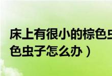 床上有很小的棕色蟲子咬人（床上有很小的棕色蟲子怎么辦）
