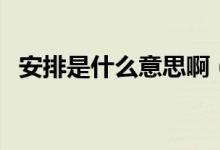 安排是什么意思?。ò才攀鞘裁匆馑季W(wǎng)絡）