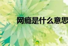 網(wǎng)癮是什么意思（網(wǎng)癮是什么意思）