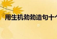用生機(jī)勃勃造句十個(gè)字（用生機(jī)勃勃造句）