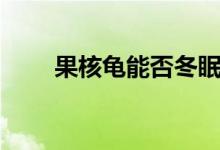 果核龜能否冬眠（果核龜能長(zhǎng)多大）