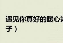 遇見你真好的暖心短句(遇見你真好的暖心句子)