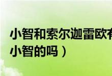 小智和索爾迦雷歐有什么關(guān)系（索爾迦雷歐是小智的嗎）