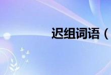 遲組詞語（漢字遲組詞語）