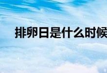 排卵日是什么時(shí)候排卵（排卵日是什么）