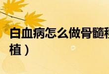 白血病怎么做骨髓移植（白血病怎樣做骨髓移植）