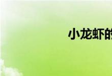 小龍蝦的蝦黃在哪里