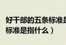好干部的五條標(biāo)準(zhǔn)是信念堅定(好干部的五條標(biāo)準(zhǔn)是指什么)