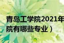 青島工學(xué)院2021年分?jǐn)?shù)線（2022年青島工學(xué)院有哪些專業(yè)）