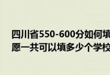 四川省550-600分如何填報(bào)志愿（2022年四川高考專(zhuān)科志愿一共可以填多少個(gè)學(xué)校）