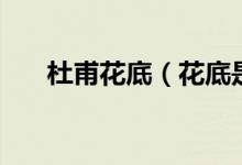 杜甫花底（花底是杜甫什么時(shí)間寫(xiě)的）