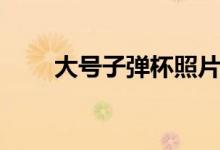 大號(hào)子彈杯照片（子彈杯多少毫升）