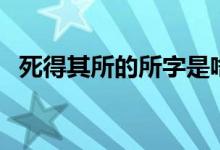 死得其所的所字是啥意思（死得其所釋義）