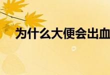 為什么大便會(huì)出血（為什么大便是黃色）