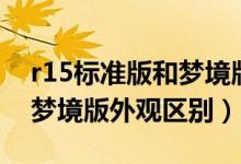 r15標(biāo)準(zhǔn)版和夢(mèng)境版外觀區(qū)別（r15標(biāo)準(zhǔn)版和夢(mèng)境版外觀區(qū)別）