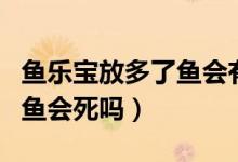 魚(yú)樂(lè)寶放多了魚(yú)會(huì)有什么反應(yīng)（魚(yú)樂(lè)寶放多了魚(yú)會(huì)死嗎）