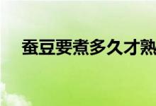 蠶豆要煮多久才熟（蠶豆要煮多久才熟）