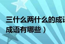 三什么兩什么的成語四個字（三什么兩什么的成語有哪些）