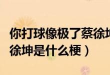 你打球像極了蔡徐坤是什么梗（你打球真像蔡徐坤是什么梗）