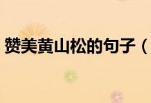 贊美黃山松的句子（描寫黃山黑虎松的句子）