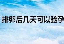 排卵后幾天可以驗孕（排卵后幾天可以著床）