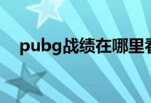 pubg戰(zhàn)績(jī)?cè)谀睦锟矗╬ubg戰(zhàn)績(jī)哪里看）