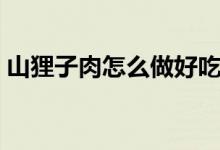 山貍子肉怎么做好吃（野貍子肉怎么做好吃）