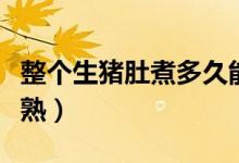 整個(gè)生豬肚煮多久能熟（一個(gè)豬肚要煮多久能熟）