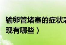 輸卵管堵塞的癥狀表現(xiàn)（輸卵管堵塞的癥狀表現(xiàn)有哪些）