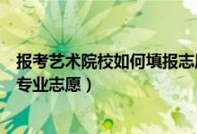 報(bào)考藝術(shù)院校如何填報(bào)志愿（藝術(shù)類(lèi)考生如何填報(bào)高等學(xué)校專(zhuān)業(yè)志愿）