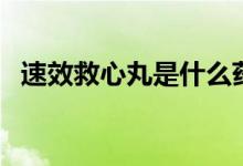速效救心丸是什么藥（速效救心丸是什么）