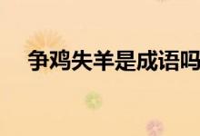 爭(zhēng)雞失羊是成語嗎（爭(zhēng)雞失羊是什么肖）