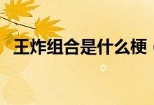 王炸組合是什么梗（王炸組合是什么意思）