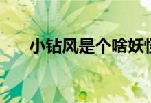 小鉆風(fēng)是個啥妖怪(小鉆風(fēng)是什么梗)