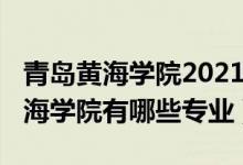 青島黃海學(xué)院2021招生人數(shù)（2022年青島黃海學(xué)院有哪些專業(yè)）