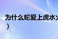 為什么蛇愛上虎水火無情（為什么蛇愛吃雞蛋）