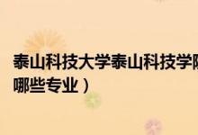 泰山科技大學(xué)泰山科技學(xué)院是幾本（2022年泰山科技學(xué)院有哪些專業(yè)）