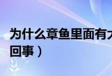 為什么章魚(yú)里面有大米（章魚(yú)里的大米是怎么回事）