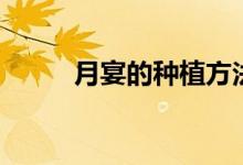 月宴的種植方法（月宴如何種植）