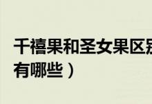 千禧果和圣女果區(qū)別圖（千禧果和圣女果區(qū)別有哪些）