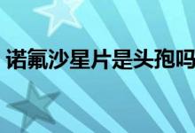 諾氟沙星片是頭孢嗎（諾氟沙星片是什么藥）