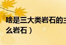 啥是三大類巖石的主體（三大巖類的主體是什么巖石）